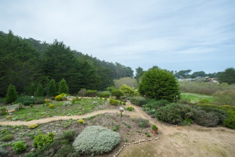 Welcome To Seal Cove Inn - Garden and Cypress Grove tree views